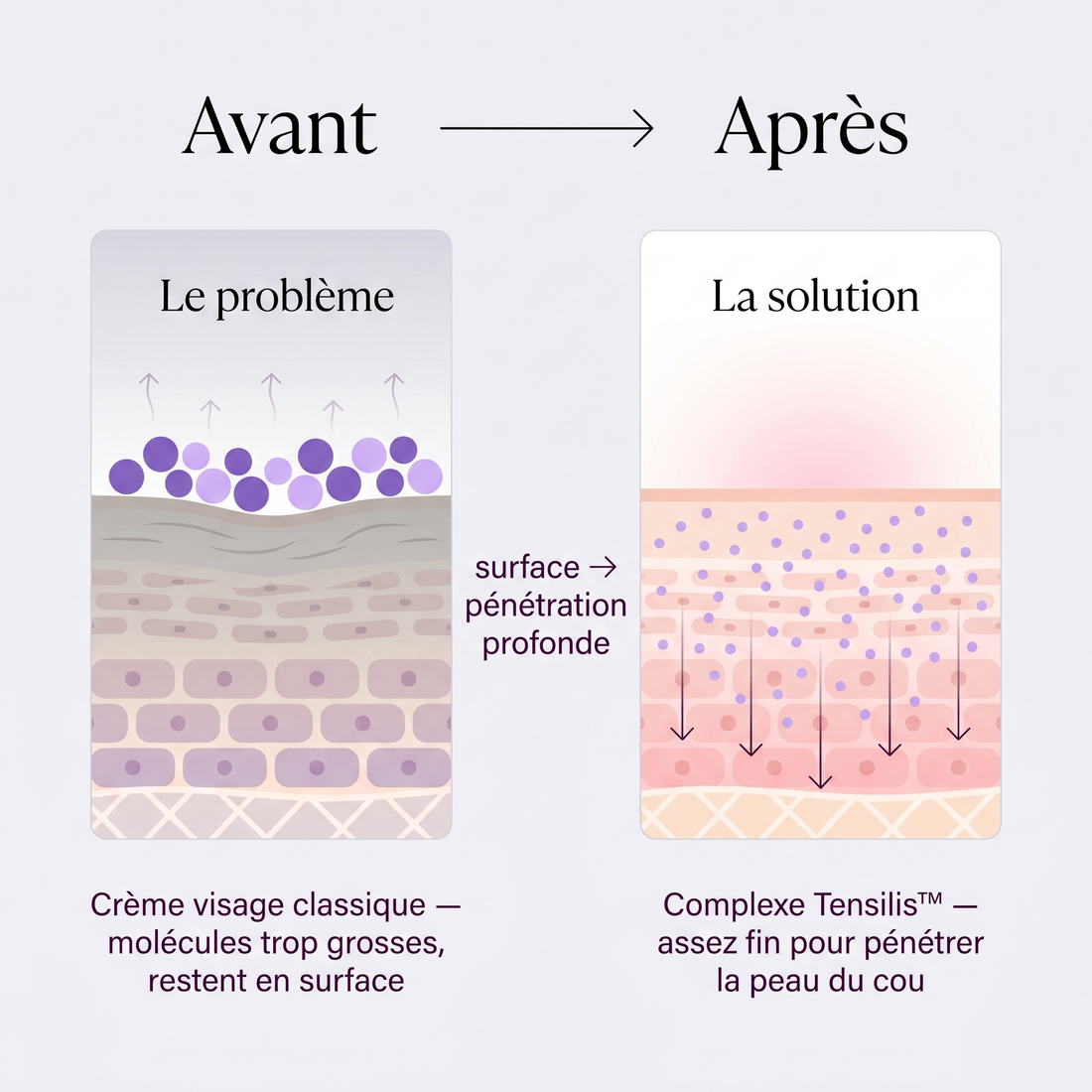 Molécules d'une crème visage en surface vs Complexe Tensilis™ qui pénètre la peau du cou