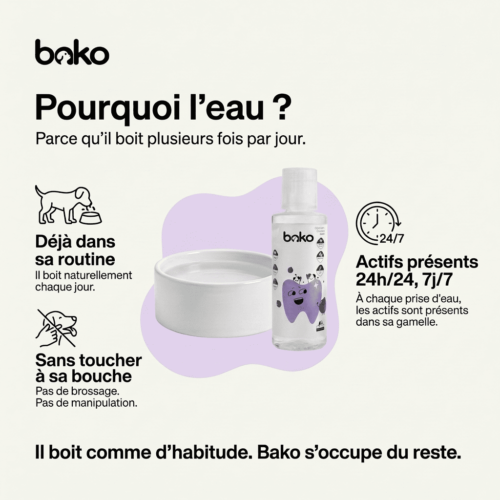 Bako Dental+™ — Additif dentaire pour chien, 200 ml