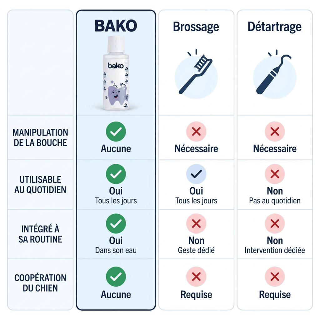 Comparaison Bako, brossage et détartrage vétérinaire. Bako facilite l’entretien quotidien mais ne retire pas un tartre fortement installé.