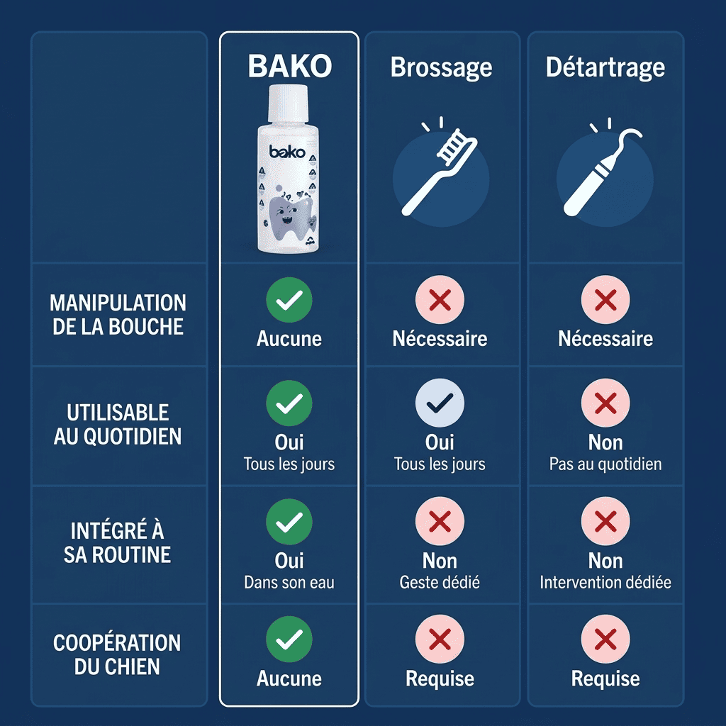 Comparaison Bako, brossage et détartrage vétérinaire. Bako facilite l’entretien quotidien mais ne retire pas un tartre fortement installé.